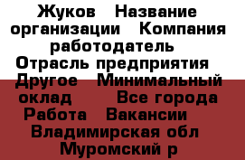 Жуков › Название организации ­ Компания-работодатель › Отрасль предприятия ­ Другое › Минимальный оклад ­ 1 - Все города Работа » Вакансии   . Владимирская обл.,Муромский р-н